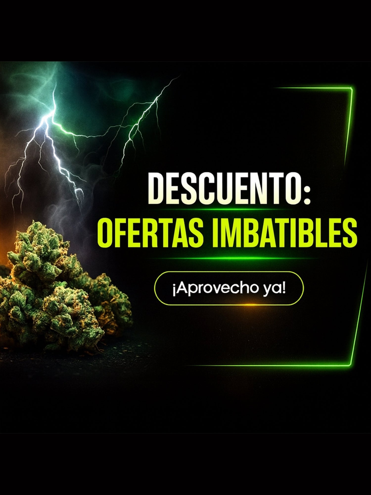 OFERTAS CBD