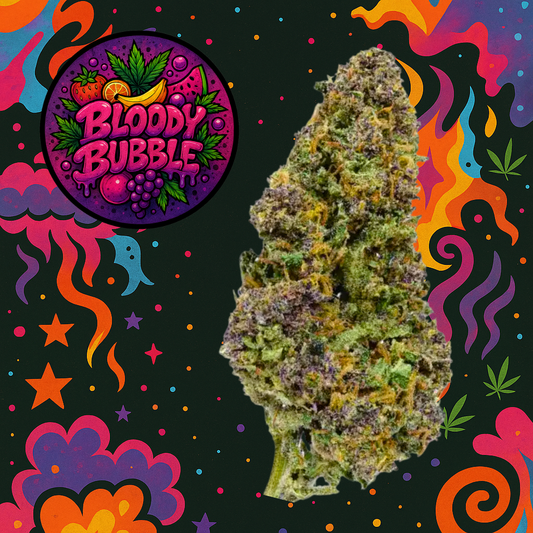 BLOODY BUBBLE INFUSIONADA STRONG