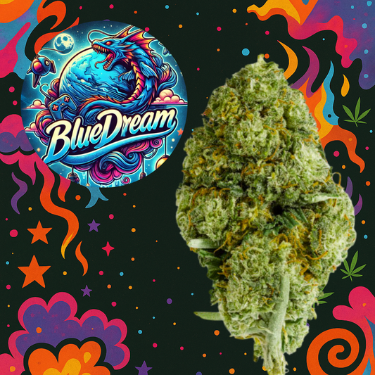 BLUE DREAM FLORES INFUSIONADAS